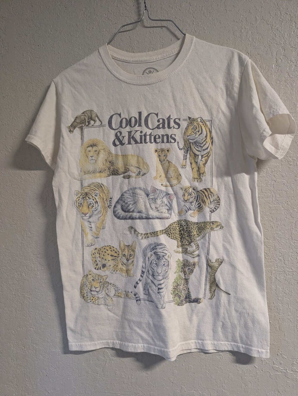 Cool Cats & Kittens Graphic Pet Cat Tee S White Multi Nerd Geek Indie Grunge